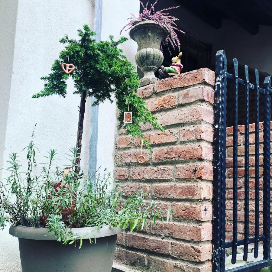 Apartmany Kovacska كَشّا المظهر الخارجي الصورة